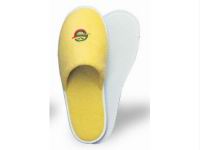 slt-007.jpg
